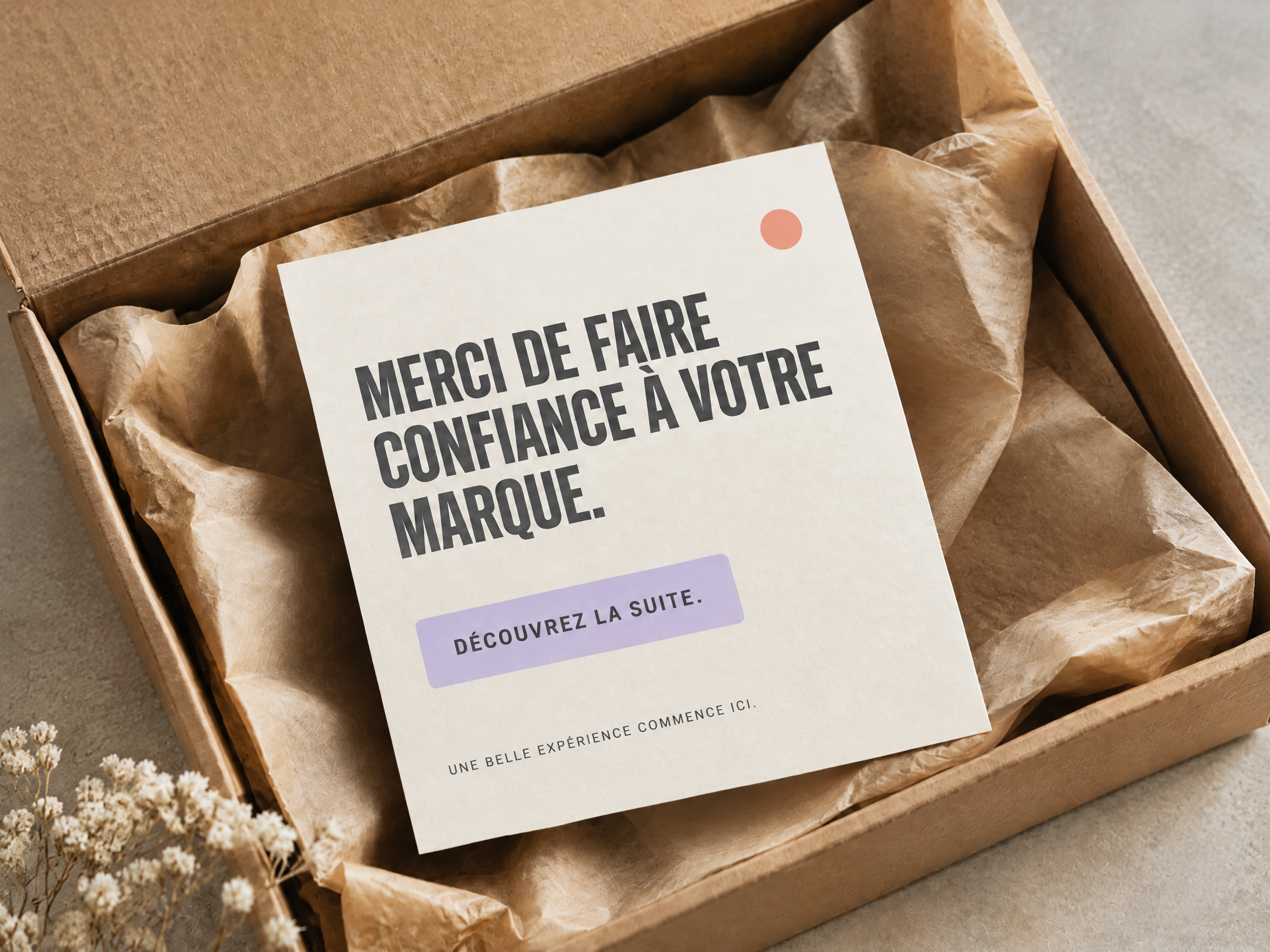 Étiquettes — Primple